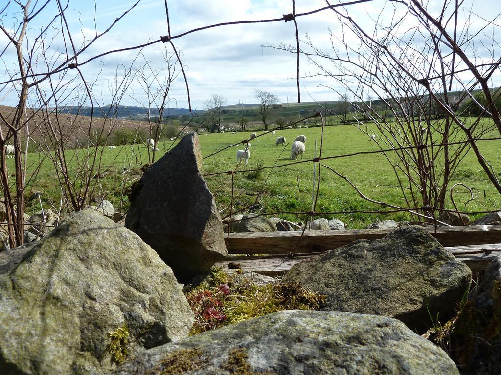 Wales' Highest Village - The Chartist Cottage - Trefil Tredegar Exterior foto